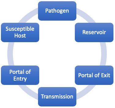 Chain of infection links in the transmission of infectious agents.