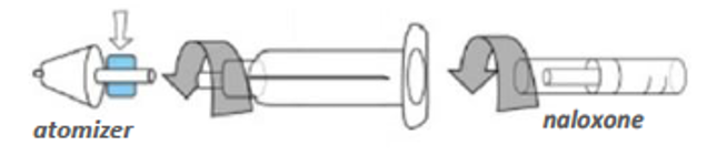 Intranasal naloxone atomizer, syringe, and capsule.